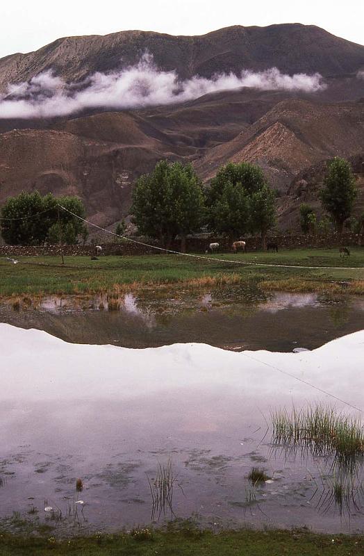 WT 1000 183-17 Nepal.jpg